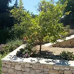 Agali Apartament *
