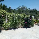 Agali Apartament *